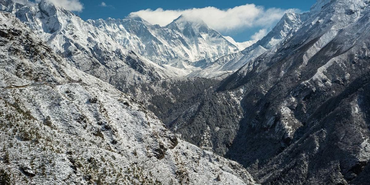 5 Tips for Designing Beautiful and Scannable QR Codes